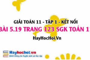 Giải bài 5.19 trang 123 Toán 11 tập 1 SGK Kết nối tri thức